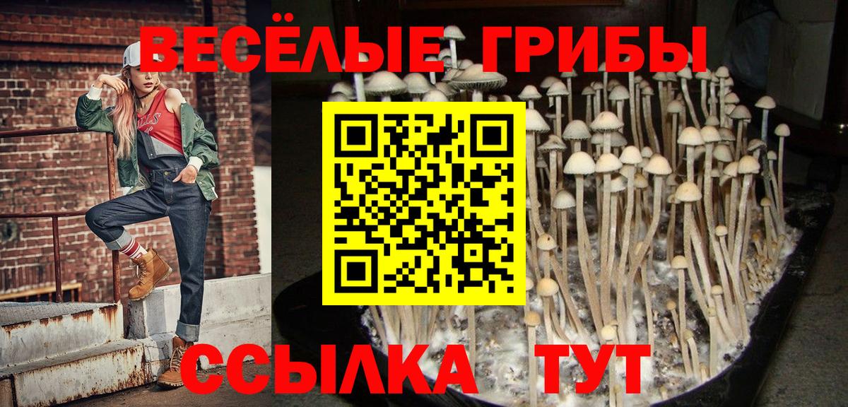Можайск  Псилоцибиновые грибы мицелий  Галлюциногенные грибы GOLDEN TEACHER  Вход с VPN 